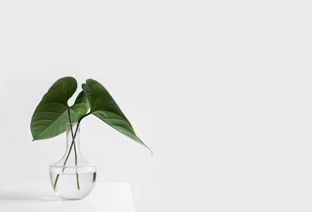 Minimal2